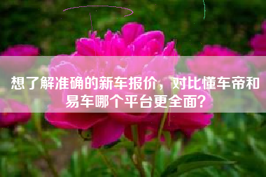 想了解准确的新车报价，对比懂车帝和易车哪个平台更全面？