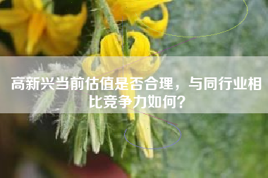高新兴当前估值是否合理，与同行业相比竞争力如何？