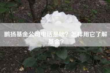 鹏扬基金公司电话是啥？怎样用它了解基金？