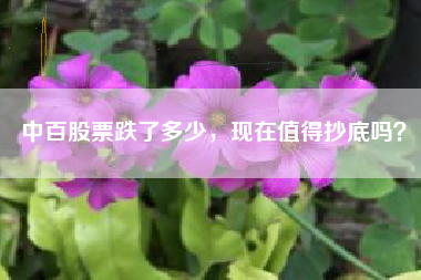 中百股票跌了多少，现在值得抄底吗？