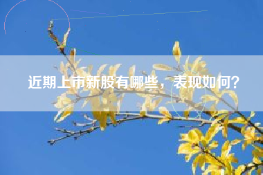 近期上市新股有哪些，表现如何？
