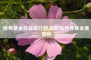 债券基金收益排行榜,高收益债券基金推荐吗