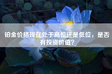 铂金价格现在处于高位还是低位，是否有投资价值？