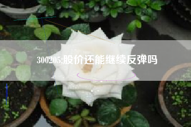 300205,股价还能继续反弹吗
