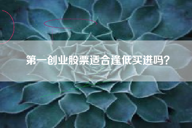 第一创业股票适合逢低买进吗？