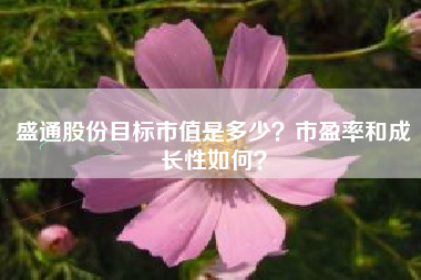 盛通股份目标市值是多少？市盈率和成长性如何？