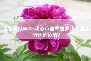 金智科技002090动态市盈率是多少？是正值还是负值？