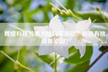 辉煌科技股票为啥异常波动？有没有啥具体原因？