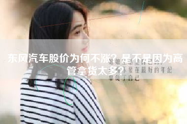 东风汽车股价为何不涨？是不是因为高管拿货太多？