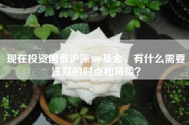 现在投资国泰沪深300基金，有什么需要注意的时点和风险？