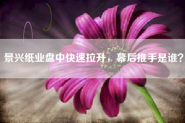 景兴纸业盘中快速拉升，幕后推手是谁？