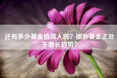 还有多少基金值得入场？哪些基金正处于增长趋势？
