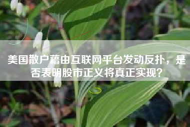 美国散户藉由互联网平台发动反扑，是否表明股市正义将真正实现？