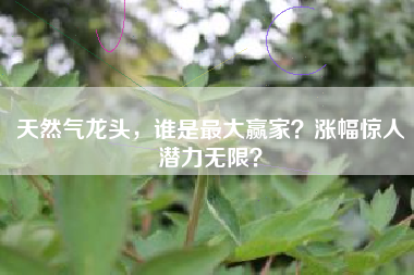 天然气龙头，谁是最大赢家？涨幅惊人潜力无限？