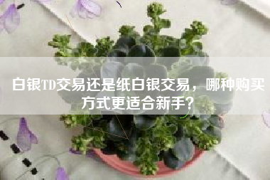 白银TD交易还是纸白银交易，哪种购买方式更适合新手？