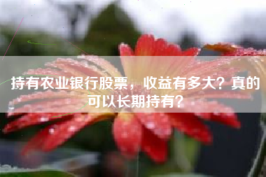 持有农业银行股票，收益有多大？真的可以长期持有？