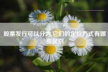 股票发行可以分为,它们的定价方式有哪些区别