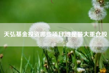 天弘基金投资哪些项目,谁是最大重仓股