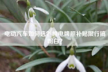 电动汽车如何选？纯电牌照补贴限行搞明白？