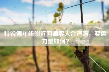 特锐德年线附近回调买入合适吗，买盘力量如何？