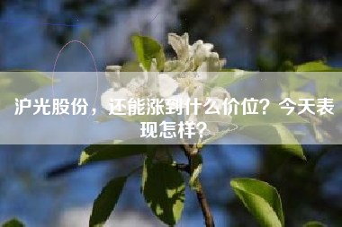 沪光股份，还能涨到什么价位？今天表现怎样？