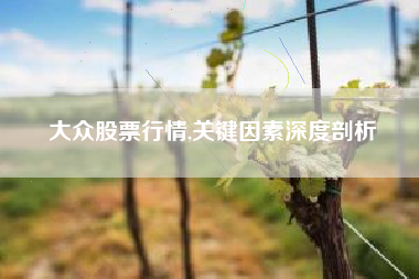 大众股票行情,关键因素深度剖析