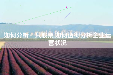 如何分析一只股票,如何透彻分析企业运营状况