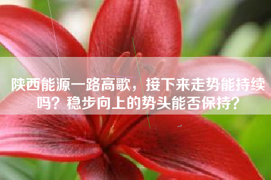 陕西能源一路高歌，接下来走势能持续吗？稳步向上的势头能否保持？