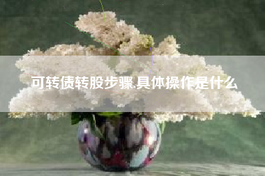 可转债转股步骤,具体操作是什么