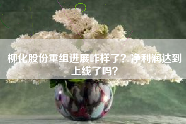 柳化股份重组进展咋样了？净利润达到上线了吗？