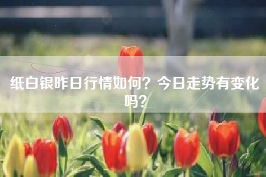 纸白银昨日行情如何？今日走势有变化吗？