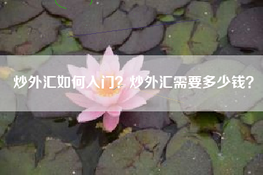炒外汇如何入门？炒外汇需要多少钱？