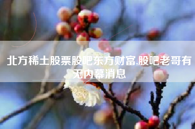 北方稀土股票股吧东方财富,股吧老哥有无内幕消息