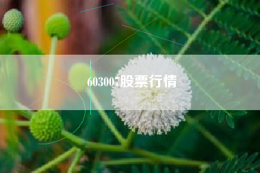 603007股票行情