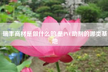 瑞丰高材是做什么的,是PVC助剂的哪类基地