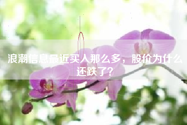 浪潮信息最近买入那么多，股价为什么还跌了？