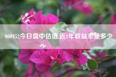 000452今日盘中估值,近1年收益率是多少