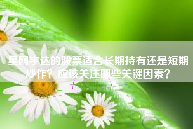 星网宇达的股票适合长期持有还是短期炒作？应该关注哪些关键因素？