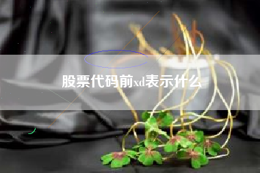 股票代码前xd表示什么