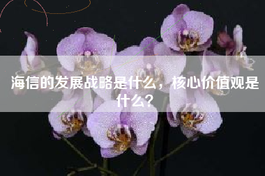 海信的发展战略是什么，核心价值观是什么？