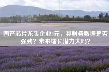 国产芯片龙头企业3元，其财务数据是否强劲？未来增长潜力大吗？