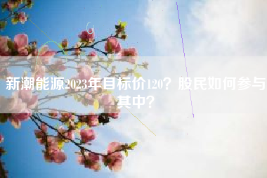 新潮能源2023年目标价120？股民如何参与其中？
