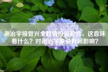 谢治宇接管兴全趋势投资混合，这意味着什么？对谢治宇来说有何影响？