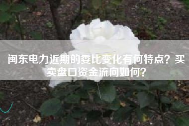 闽东电力近期的委比变化有何特点？买卖盘口资金流向如何？