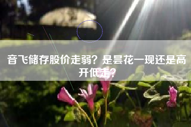 音飞储存股价走弱？是昙花一现还是高开低走？