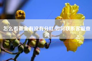 怎么看基金有没有分红,如何联系客服查询