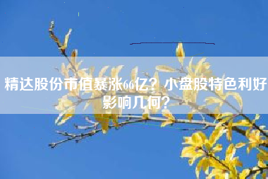 精达股份市值暴涨66亿？小盘股特色利好影响几何？