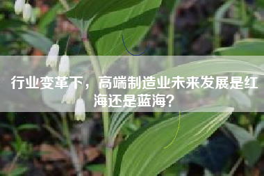 行业变革下，高端制造业未来发展是红海还是蓝海？