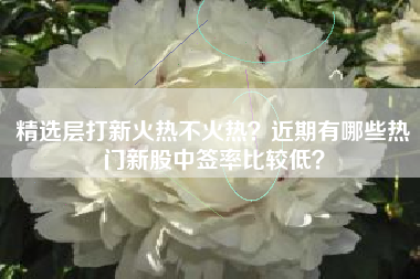 精选层打新火热不火热？近期有哪些热门新股中签率比较低？