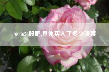 603658股吧,具体买入了多少股票